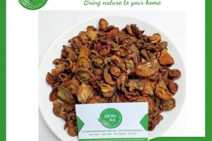 Mua Táo mèo khô ở đâu uy tín chất lượng?