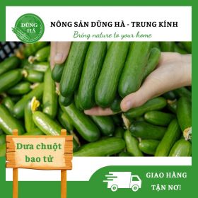 Dưa chuột bao tử