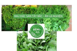 Tác dụng của rau cải ngồng – thực phẩm giàu dinh dưỡng