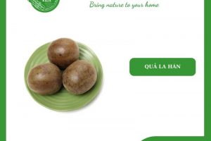 Quả La Hán – Khám phá Vẻ Đẹp và Công Dụng Tuyệt Vời của Loại Trái Cây Độc Đáo này