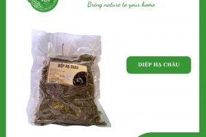 Trà Diệp Hạ Châu: Tác Dụng Tuyệt Vời Cho Sức Khỏe Và Lợi Ích Đáng Ngạc Nhiên