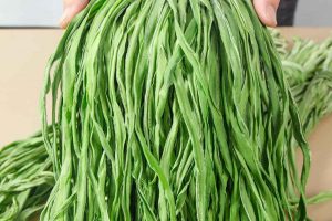 Nguồn gốc Rau Tiến Vua – 4 Lí do tại sao đắt hơn thịt? – Dũng Hà Farm