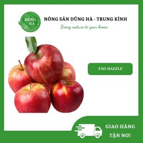 Táo Dazzle - Dũng Hà Farm
