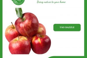 Nên Chọn Hoa Quả Trong Nước Hay Hoa Quả Nhập Khẩu – Dũng Hà Farm