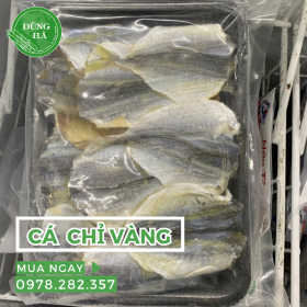 Cá Chỉ Vàng - Dũng Hà Farm