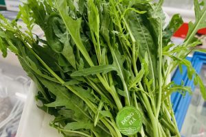 Tác dụng và cách bảo quản rau xà lách rocket