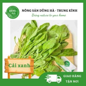 Cải xanh - Dũng Hà Farm