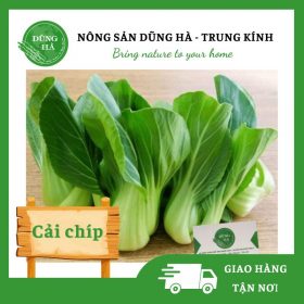 Cải chíp