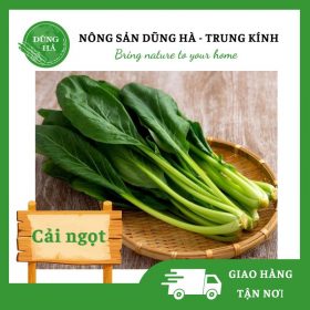 Cải ngọt