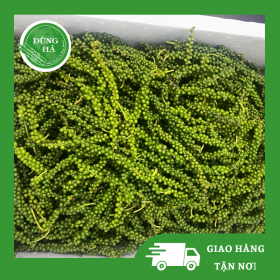 Hạt tiêu xanh - Dúng Hà Farm