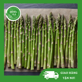 Măng Tây Xanh - Dũng Hà Farm