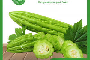 Những lợi ích tuyệt vời của trái khổ qua