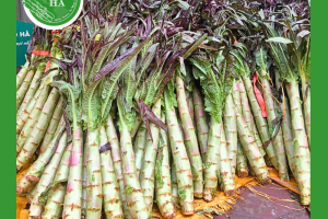 Tác dụng và cách chế biến rau ngó xuân