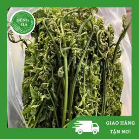 Rau dớn Tây Bắc