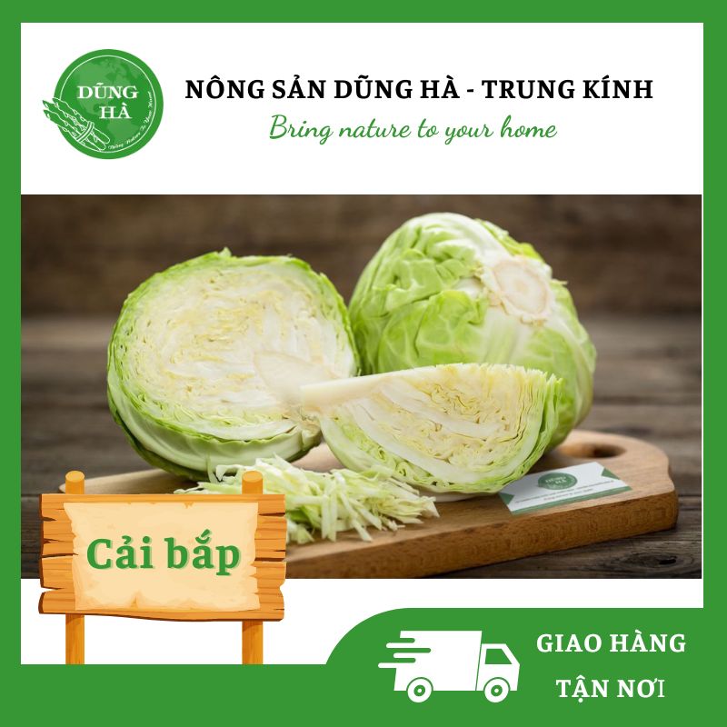 cải bắp Cải Bắp - Dũng Hà Farm