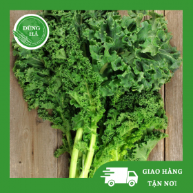 Cải Xoăn Kale - Dũng Hà Farm