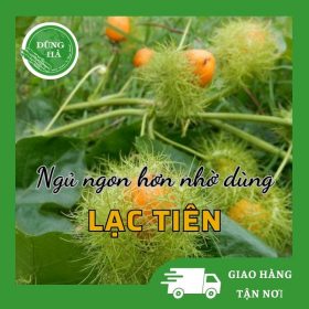 Lạc Tiên - Dũng Hà Farm