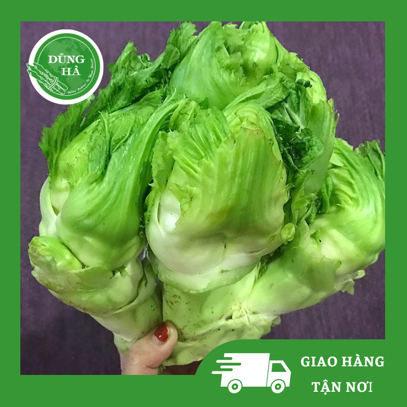 mầm đá Mầm Đá - Dũng Hà Farm