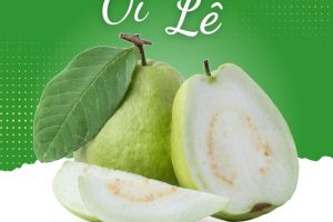 Người mắc bệnh cúm nên ăn trái cây gì?