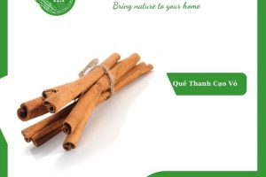 Quế thanh – Vị thuốc quý và những công dụng mang lại