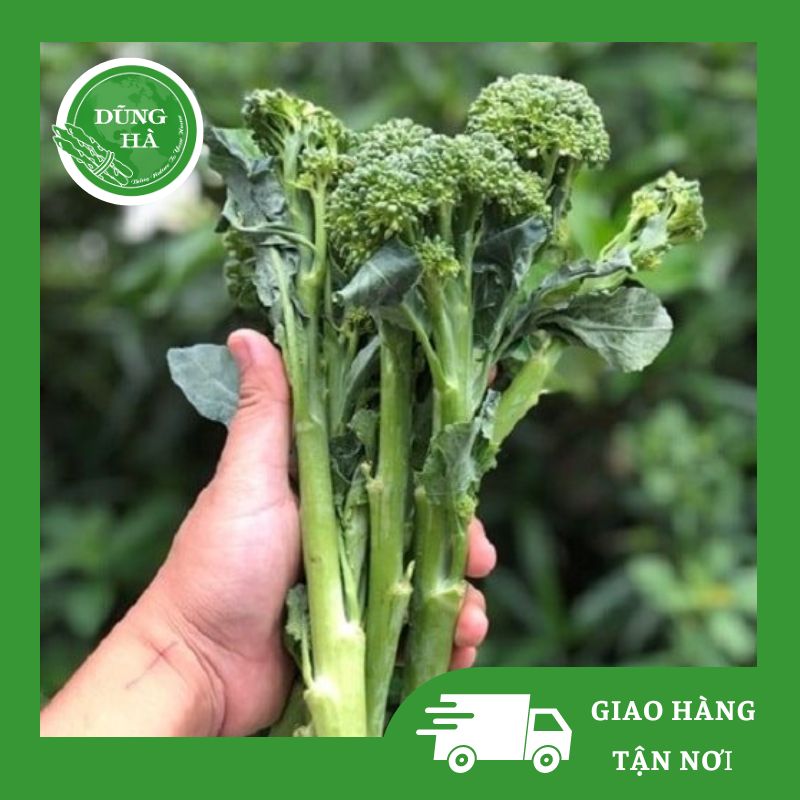 súp lơ baby súp lơ baby