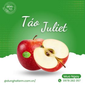 Táo Juliet organic - Dũng Hà Farm