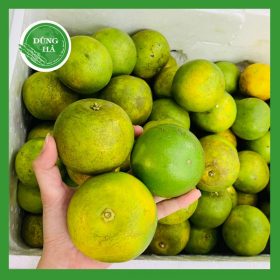 Người mắc bệnh cúm nên ăn trái cây gì?