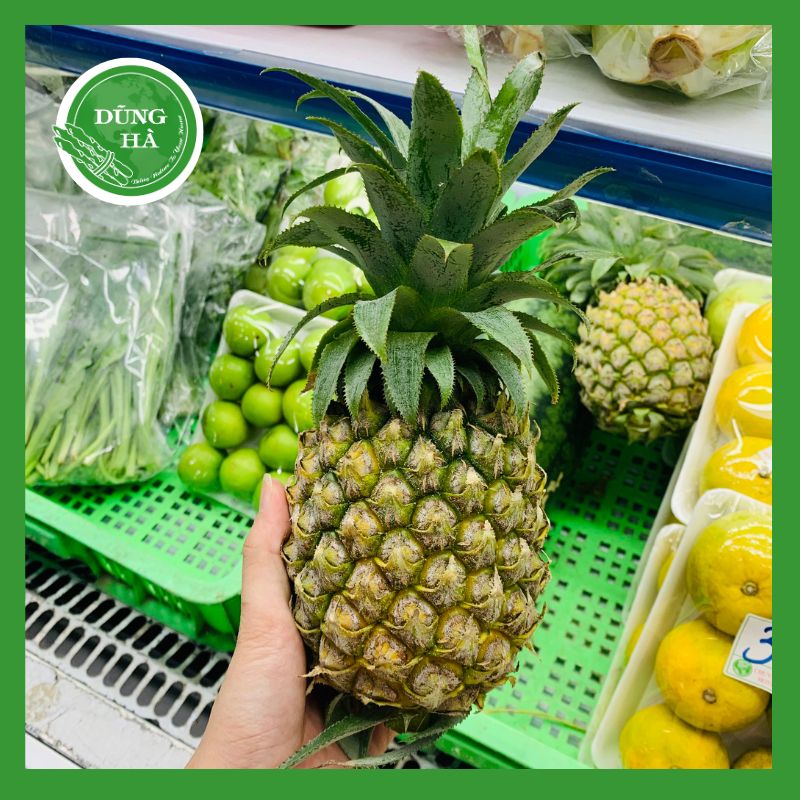 dứa xanh Dứa Xanh