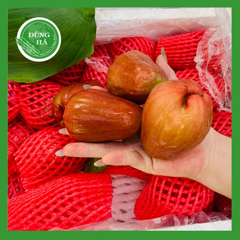 Quả Roi Đỏ Quả Roi Đỏ