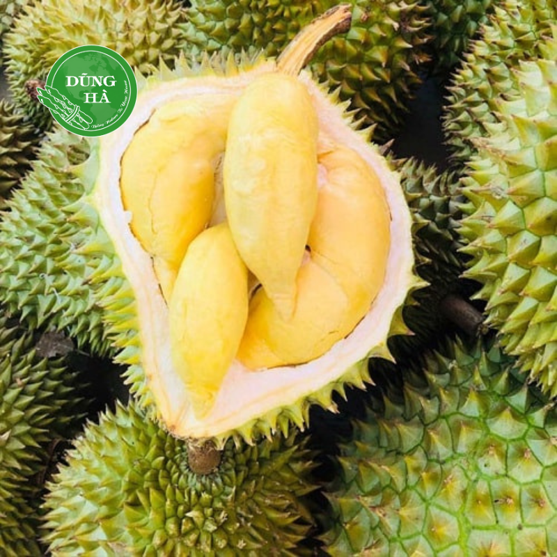 thịt lợn sạch 3s Sầu riêng thái