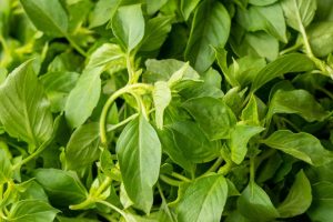 Lá É – đặc sản miền trung phải thử một lần