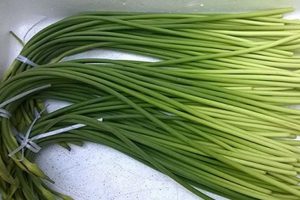 Công dụng của ngồng tỏi và cách chế biến