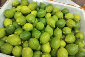 Chanh nước hoa Quảng Đông tại sao lại hot?