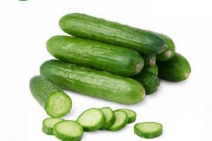 Dưa chuột bao tử là gì? Công dụng của dưa chuột bao tử