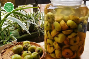 Cách Ngâm Rượu Táo Mèo Giúp Giảm Cân và Cải Thiện Tiêu Hóa