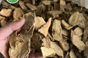 7 loại thảo mộc giúp cải thiện sức khỏe và tâm lý của bạn