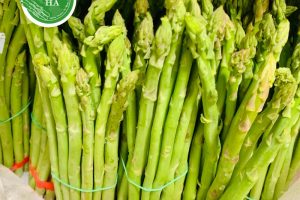 Siêu thực phẩm Măng Tây Xanh tươi ngon đạt chuẩn VietGap