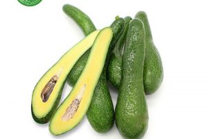 Bơ 034 – Bí Quyết Chọn Lựa và Bảo Quản Đúng Cách