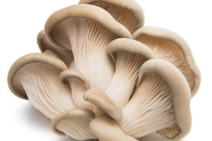 5 Lưu ý khi sử dụng nấm sò tránh tác dụng phụ